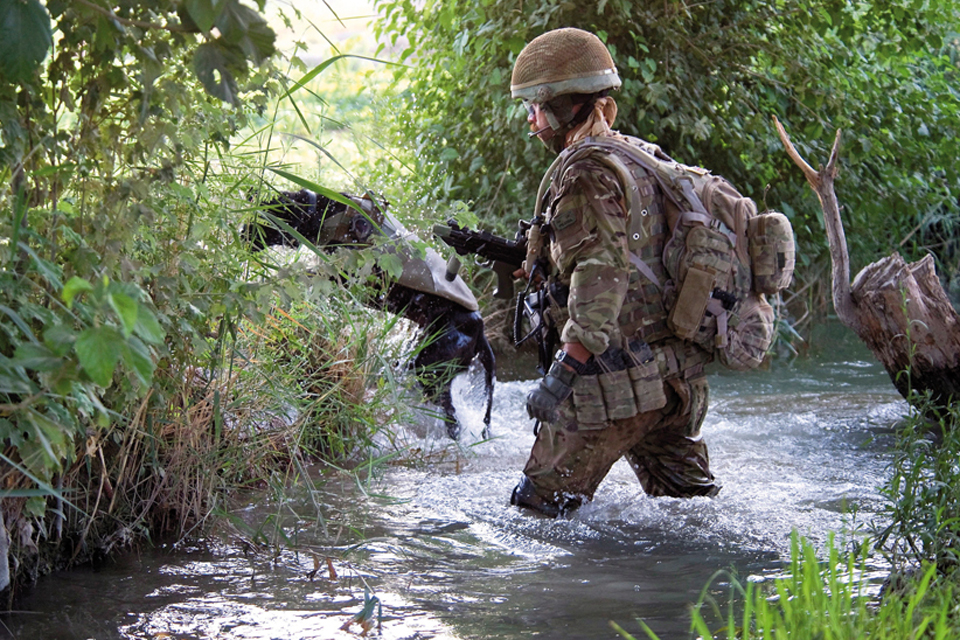 A Royal Marine with a working dog 