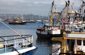 Fishing boats in Brixham Harbour, South West England.