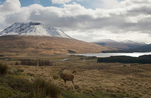 Scottish highlands