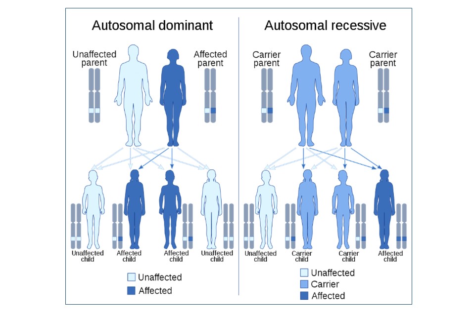 Genomics Beyond Health - Full Report (accessible Webpage) - Gov.uk