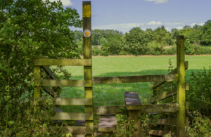 Gate and stile on a footpath in the countryside