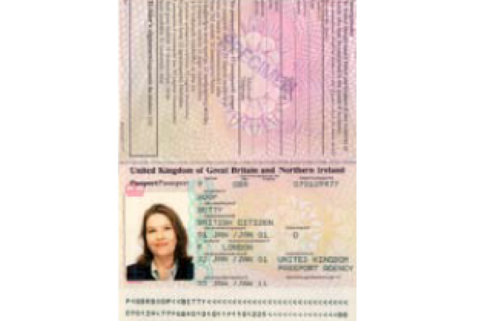 Basic passport checks (accessible) - GOV.UK