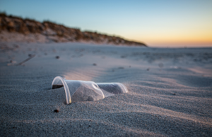 Plastic cup on a beach