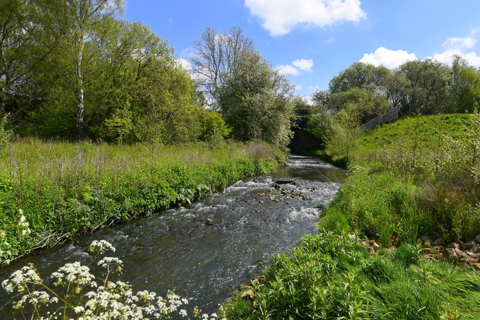 Небольшая река в окружении зелени и цветов