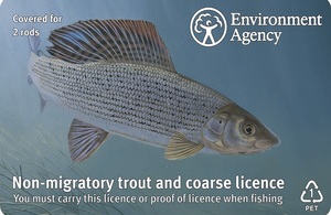 Лицензия EA на форель и грубую удочку с изображением рыбы.