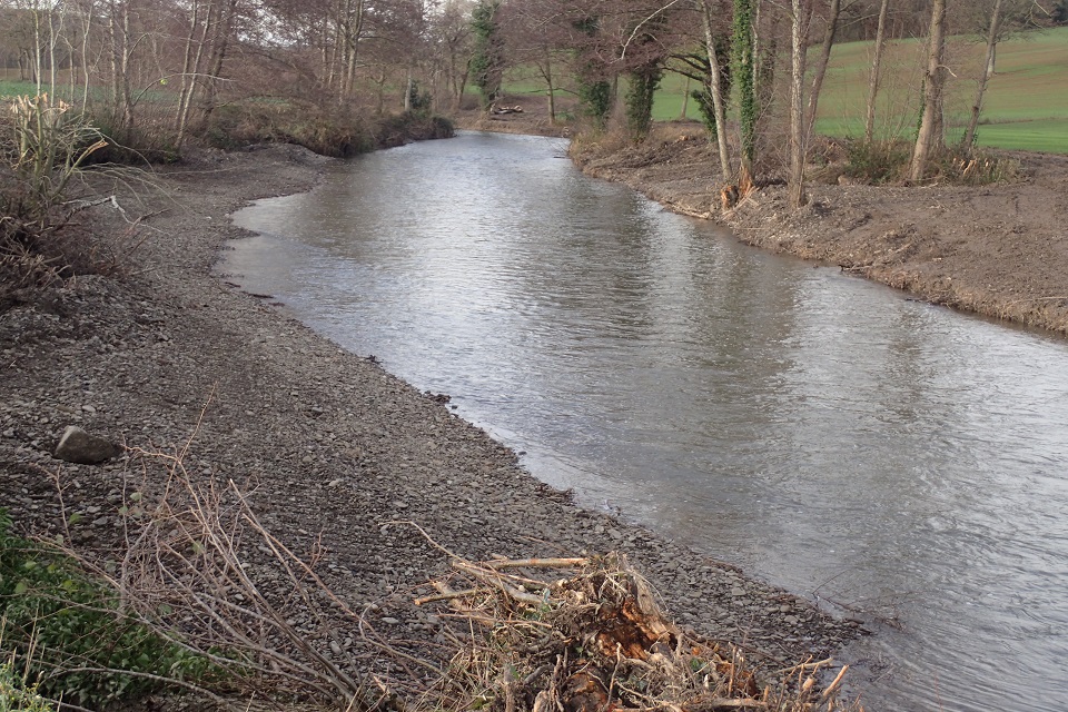 Река Лагг в Херефордшире лишена растительности и обитателей берега.