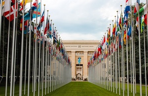 Флаги в ООН