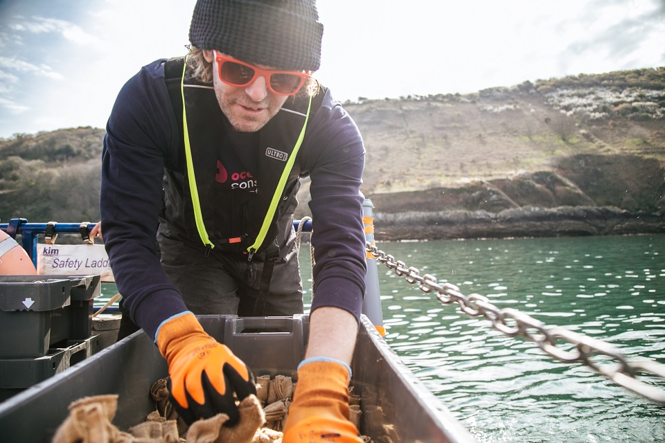 Man picking up bags of seagrass ready to put over the side of a boat and into the sea