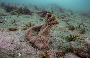 A small seed bag sat underwater on the seabed.