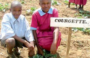 School children in Kenya benefit from the Gardens for Life project