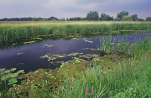 Image of river in England