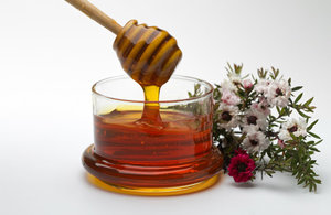 Мед и цветы манука