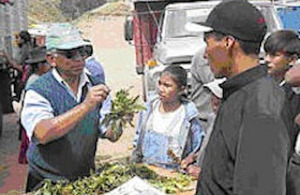 Daniel Vasques discusses peach problems with truck passengers in Bolivia