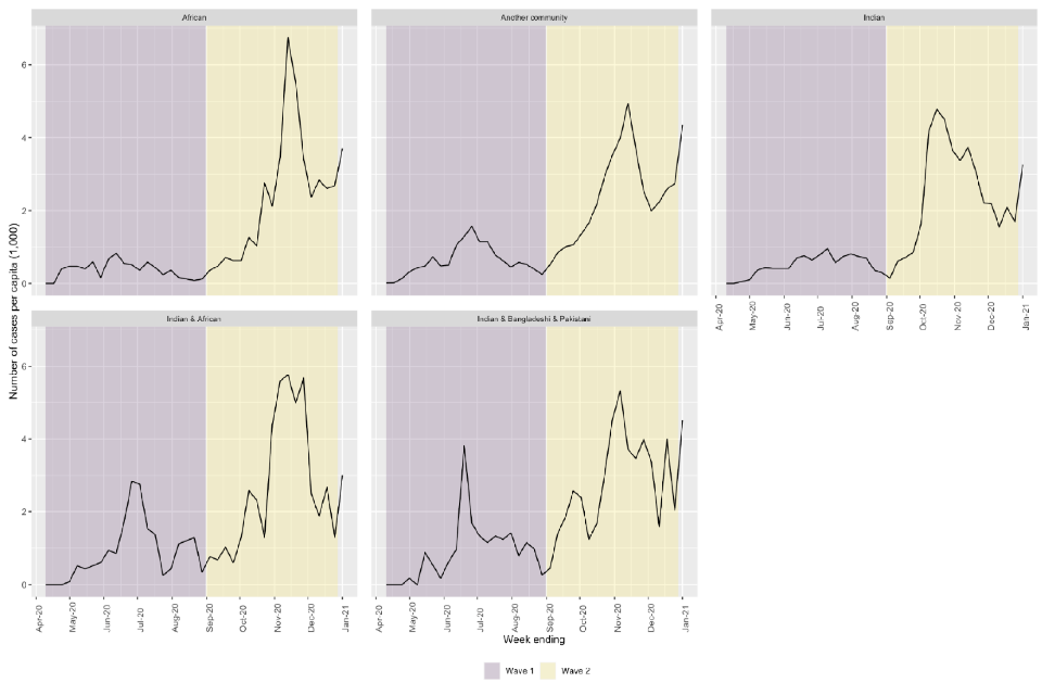 5 line graphs, each representing an ethnic group. Y-axes: case numbers per capita. X-axes plot from April 2020 to January 2021. From top right, clockwise: African; Another community; Indian; Indian and African; and Indian, Bangladeshi and Pakistani. 