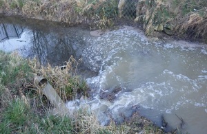 Harmful raw sewage gushes into Pig Water Drain