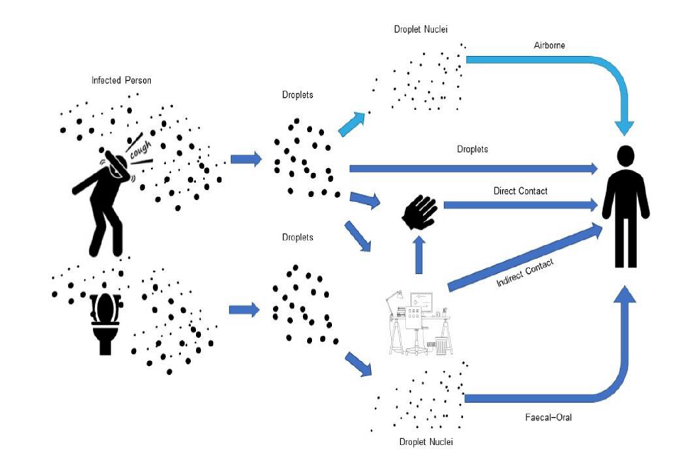 Diagram displaying infection routes of SARS-CoV-2 (dark blue arrows) and SARS-CoV-1 and other flu (light blue). Droplets from infected people can be spread by direct or indirect contact, airborne or faecal-oral transmission.