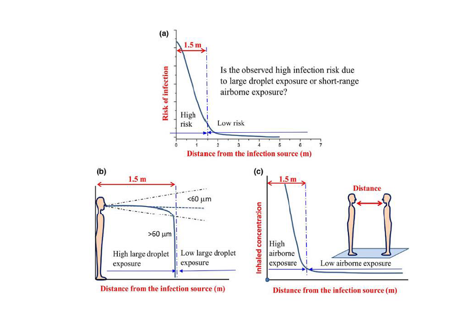 3 graphs: graph a (top) plots infection risk against distance from infection source. Graphs b (left) and c (right) consider contributions to high infection risk. Respectively: impact of droplet size; and high or low airborne exposur