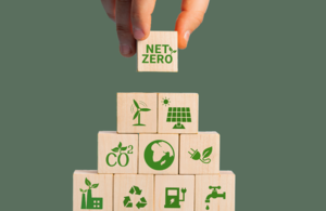 Программа Net Zero возглавляет движение правительства к Net Zero