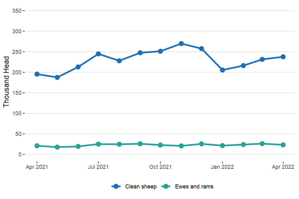 United Kingdom average weekly numbers of sheep slaughtered