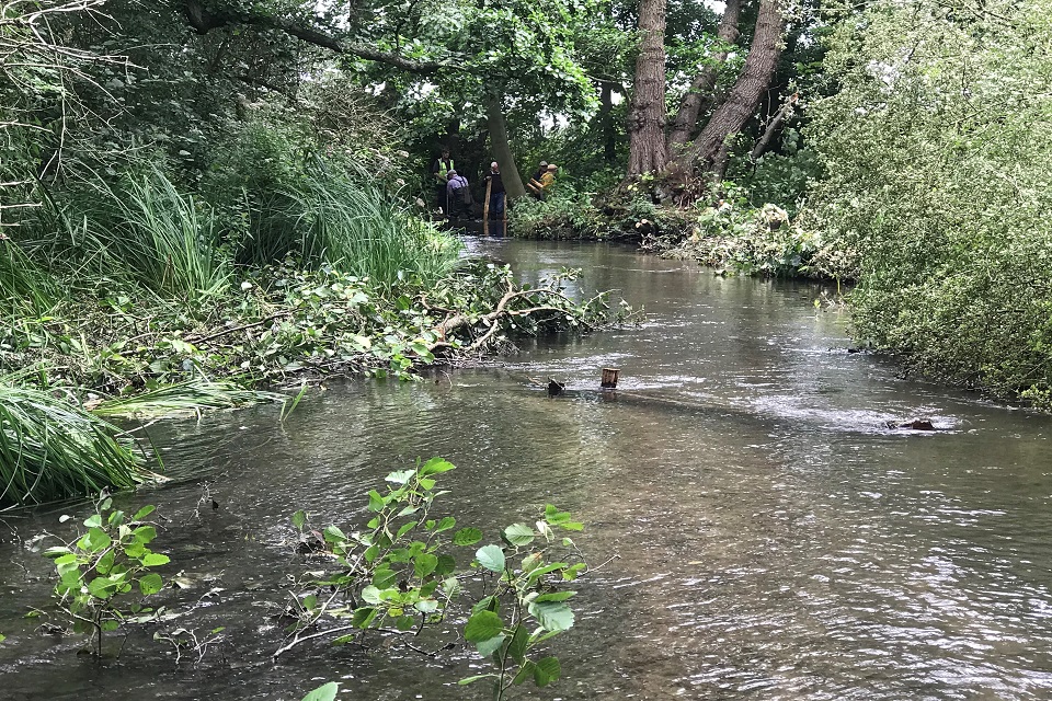 Panshanger Park, River Mimram 