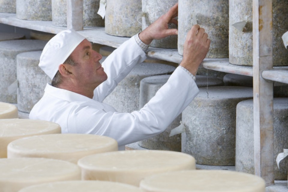 Import cheese to shop uk