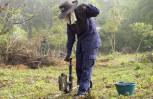 UXO clearance team at work