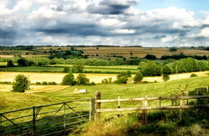Image of the English countryside on a sunny day.
