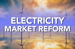 Electricity market reform
