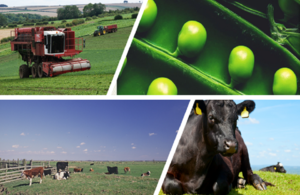collage of images including cows, peas, and farm machinery.