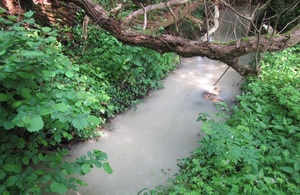 Water in Padbury Brook looking discoloured. There are trees and bushes in the photo.