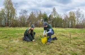 A Community Forest team planting trees