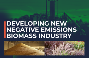 Graphic of biomass with text 'Developing new biomass industry'