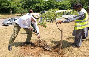 British High Commission staff plant 75 trees to mark 75 years of UK – Pakistan relations