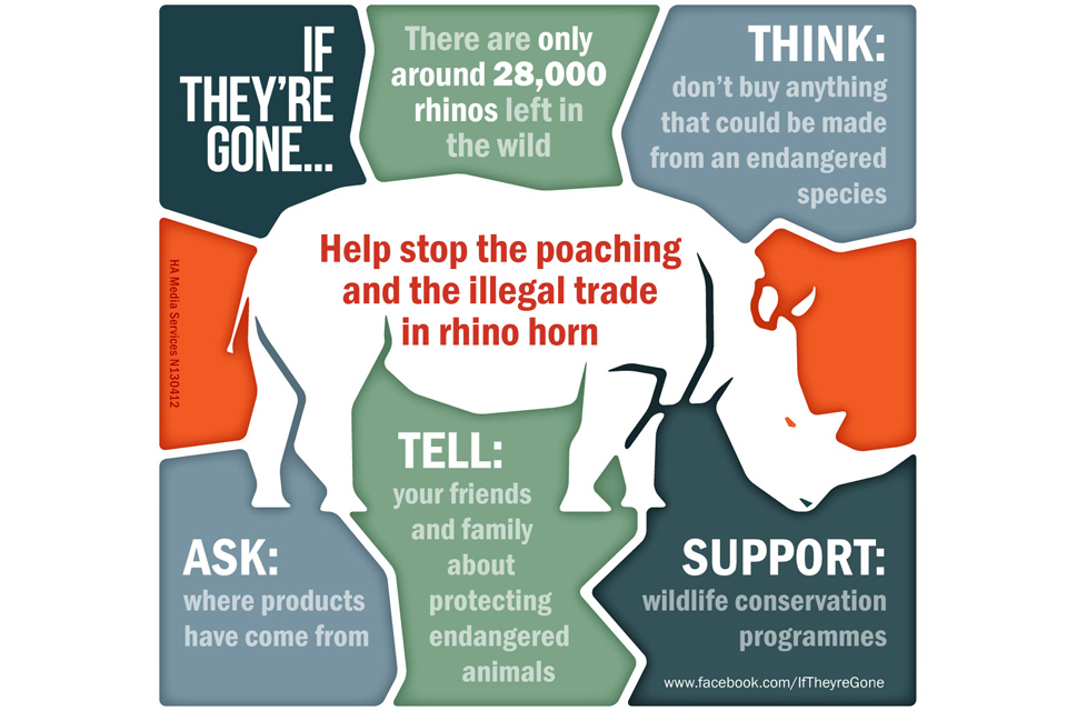 Rhino infographic