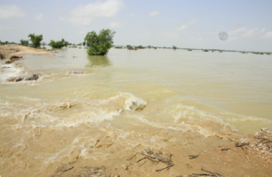Picture of flood waters in Pakistan