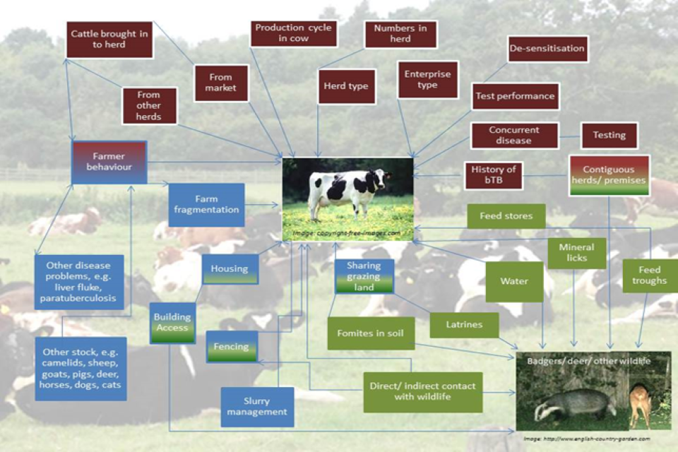Bovine Tuberculosis In Great Britain In 2021 Explanatory Supplement To bovine-tuberculosis-in-great-britain-in-2021-explanatory-supplement-to
