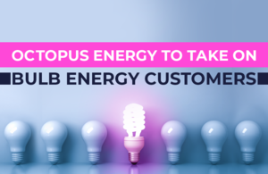 Octopus Energy to take on Bulb energy customers