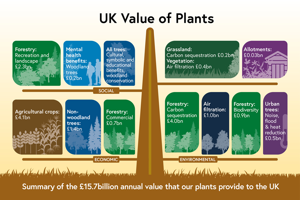 Plant biosecurity strategy for Great Britain (2023 to 2028) - GOV.UK