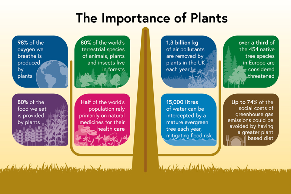 Plant biosecurity strategy for Great Britain (2023 to 2028) GOV.UK