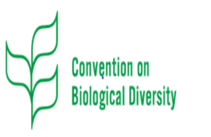 Логотип Конвенции о биологическом разнообразии COP15