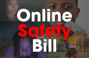 Текст, Билль о безопасности в Интернете