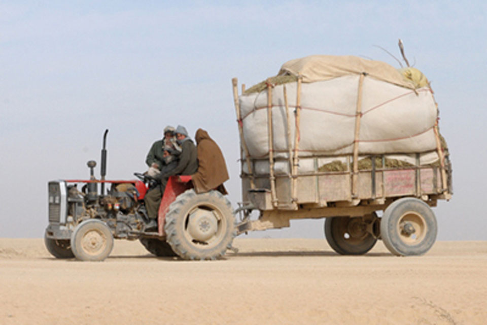 Farmers in Nad 'Ali 