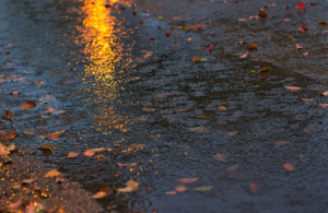 A large puddle of rain on the street with leaves floating in it