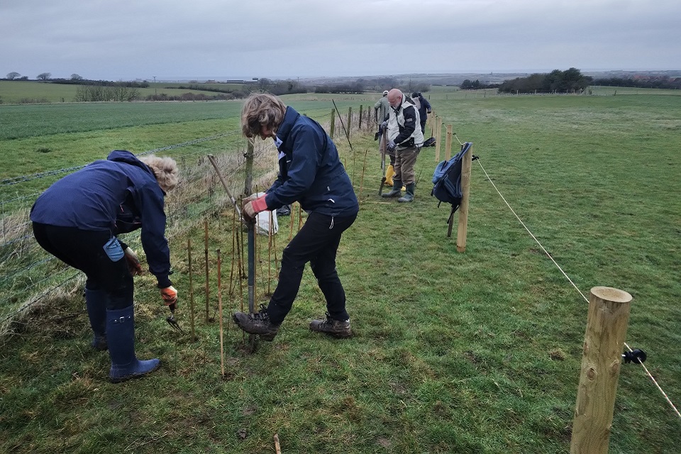 Images shows people carrying out hedgerow planting upstream 