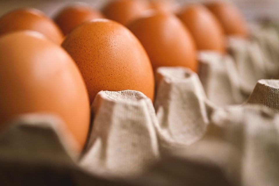 New barn egg labelling concession introduced to support egg industry GOV.UK
