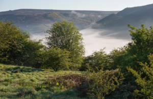 Landscape in Derbyshire