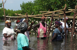 try oyster farmers