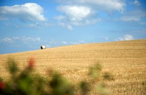 Farming landscape with a hay bale and blue sky