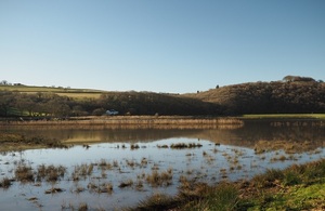 A wetland area next to the River Tamar