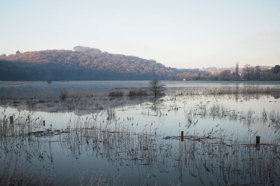 The Calstock wetland area pictured on a frosty morning.